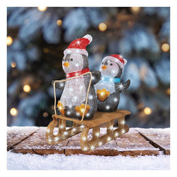 Lumineo Kerstfiguur pinguïns op slee | Lumineo | 56.5 cm (110 leds, Timer, Binnen/Buiten) 491205 K151001812 - 2