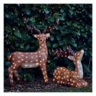 Lumineo Kerstfiguur rendier | Lumineo | 18 x 52 x 56 cm (120 leds, Timer, Acryl, Koud wit, Buiten) 490368 K151001794 - 2