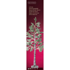 Lumineo LED kerstboom | 1.5 meter (240 LEDs, Besneeuwde dennenboom) 492371 K151000679 - 4