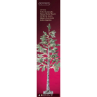 Lumineo Led kerstboom | 1.5 meter (240 leds, Besneeuwde dennenboom) 492371 K151000679 - 4