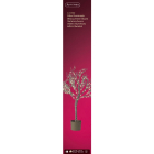Lumineo Lichtboom | Lumineo | 1.0 meter (151 leds, Binnen/Buiten) 491724 K150302943 - 3