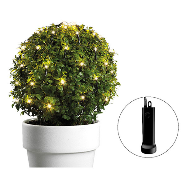 Lumineo Netverlichting buxus | Lumineo | Ø 35 cm (60 leds, 8 lichtfuncties, Batterijen, Timer, Buiten, Warm wit) 497211 K151200076 - 6