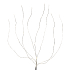 Lumineo Plantverlichting | 40 cm (40 Micro leds, Binnen/Buiten) 486268 K151000657 - 2