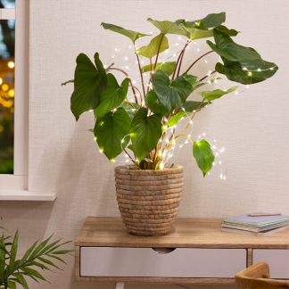 Lumineo Plantverlichting | 80 cm (60 Micro leds, Binnen/Buiten) 486269 K151000658 - 6
