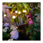 Lumineo Solar prikspot | Lumineo | 70 cm (Vuurvliegjes, Led, Warm wit) 898736 K170105544 - 3