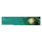 Lumineo Solar tuinsteker | Lumineo | 80 cm (Zon, Led, Warm wit) 894699 K170105537 - 4