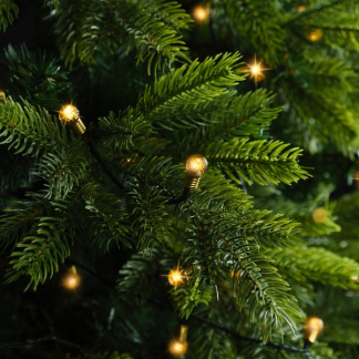 Lumineo Standaard kerstverlichting | 29 meter | Lumineo (210 leds, Twinkelen, Binnen/Buiten, Warm wit, Timer, Groen) 489568 K151200062 - 5