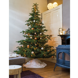 Lumineo Standaard kerstverlichting | 8 meter | Lumineo (40 leds, Binnen/Buiten, Extra warm wit, Timer, Dimmer) 494332 K151000506 - 8