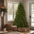 National Tree Company Kunstkerstboom | National Tree Company | Dunhill Fir | 2.28 meter (2514 tips, PVC) 31HDU075 K151100187 - 3