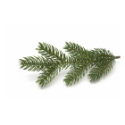 National Tree Company Kunstkerstboom | National Tree Company | Vienna Fir | 2.28 meter (4241 tips, PVC/PE) 31HVIE75 K151100098 - 2