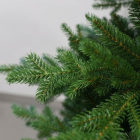 National Tree Company Kunstkerstboom | National Tree Company | Vienna Fir | 2.28 meter (4241 tips, PVC/PE) 31HVIE75 K151100098 - 3