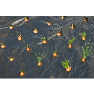 Nature Afdekfolie planten | Nature | 0.95 x 5 meter (Kleine groenten, Voorgesneden gaten, Uv-bestendig, Zwart) 6030274 K170106154 - 3