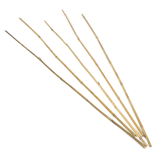 Nature Bamboestokken | Nature | 120 centimeter | 5 stuks (Ø 10/12 mm) 6040202 K170501579 - 1
