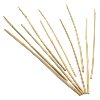 Nature Bamboestokken | Nature | 60 centimeter | 10 stuks (Ø 6/8 mm) 6040200 K170501577 - 1
