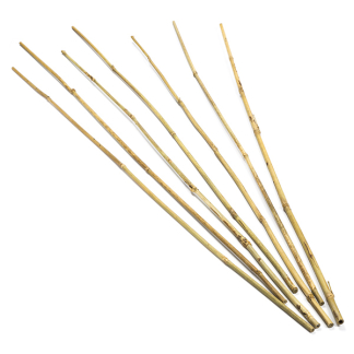 Nature Bamboestokken | Nature | 90 centimeter | 7 stuks (Ø 8/10 mm) 6040201 K170501578 - 1