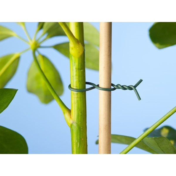 Nature Binddraad | Nature | 50 meter (Ø 0.8 mm, Groen) 6040460 K170501667 - 2