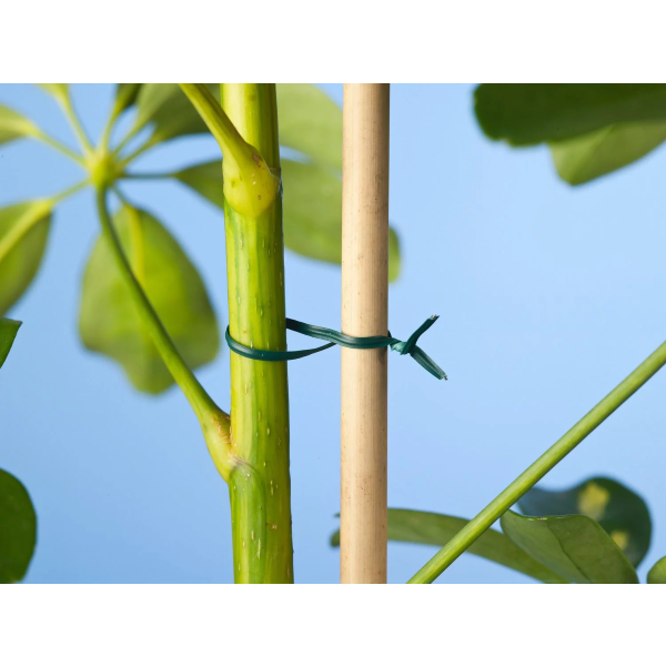 Nature Binddraad | Nature | 50 meter (Ø 2 mm, Groen, Met draadknipper) 6040464 K170501664 - 2