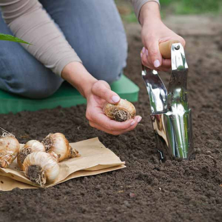 Nature Bollenplanter | Nature | Ø 6 cm (FSC®-hout, Traditioneel model) 6020329 K170501653 - 2