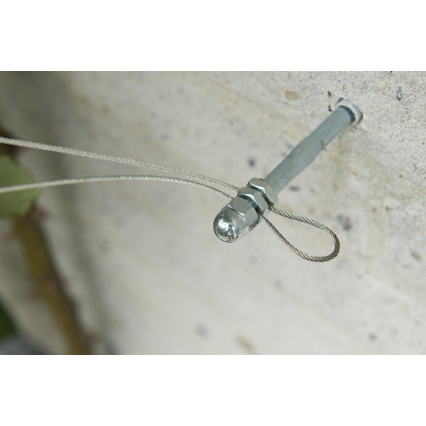 Nature Draadset voor klimplanten | Nature | 10 meter (Ø 1.8 mm, Verzinkt staaldraad, RVS moeren, Schroeven, Pluggen) 6040760 K170106190 - 4