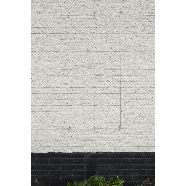 Nature Draadset voor klimplanten | Nature | 10 meter (Ø 1.8 mm, Verzinkt staaldraad, RVS moeren, Schroeven, Pluggen) 6040760 K170106190 - 5