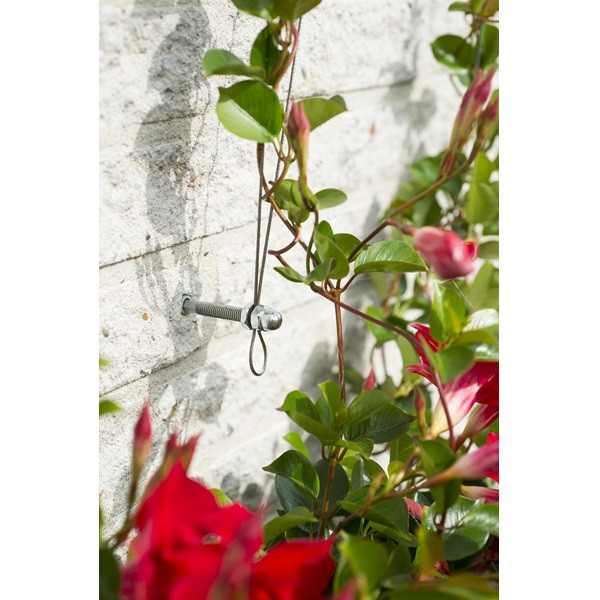 Nature Draadset voor klimplanten | Nature | 10 meter (Ø 1.8 mm, Verzinkt staaldraad, RVS moeren, Schroeven, Pluggen) 6040760 K170106190 - 6