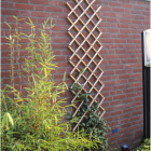 Nature Klimrek planten | 180 x 45 cm (Bamboe) 6040720 K170130229 - 3