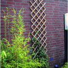 Nature Klimrek planten | 180 x 70 cm (Bamboe) 6040721 K170130230 - 3