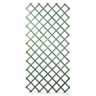 Nature Klimrek planten | Nature | 100 x 200 cm (Groen, Verstelbaar, Vuren) 6041704 K170501599 - 1