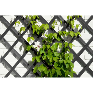 Nature Klimrek planten | Nature | 150 x 50 cm (Hout, Antraciet) 6041707 K170130295 - 4