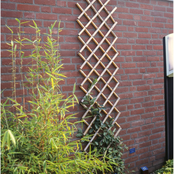 Nature Klimrek planten | Nature | 180 x 45 cm (Bamboe) 6040720 K170130229 - 3