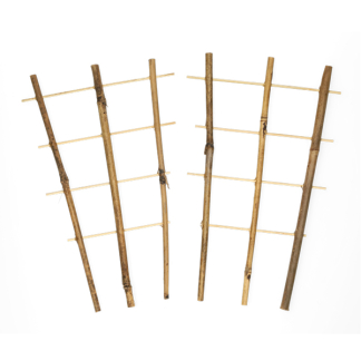 Nature Klimrek planten | Nature | 35 x 18 centimeter (2 stuks, Bamboe) 6040355 K170106182 - 2