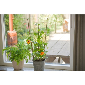 Nature Klimrek planten | Nature | 60 x 25 cm | 2 stuks (Bamboe) 6040356 K170106183 - 3