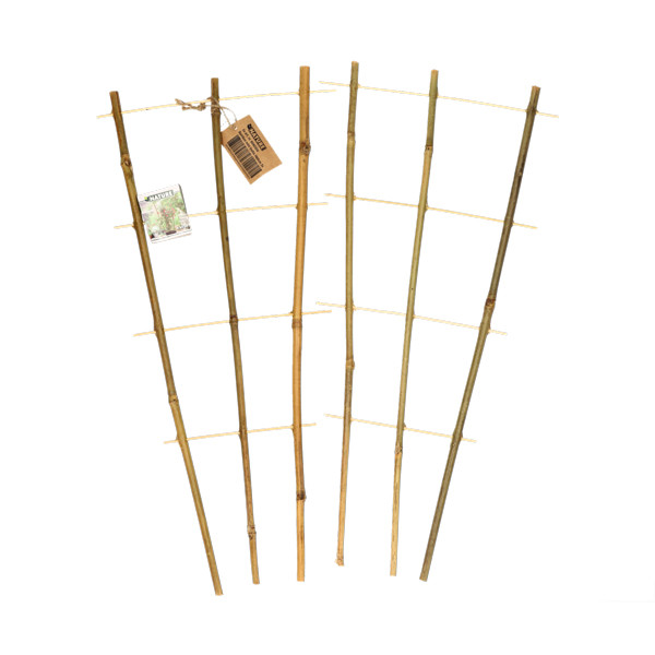 Nature Klimrek planten | Nature | 60 x 25 cm | 2 stuks (Bamboe) 6040356 K170106183 - 2
