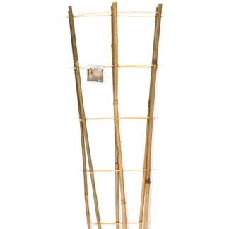 Nature Klimrek planten | Nature | 90 x 26 centimeter (2 stuks, Bamboe) 6040357 K170106184 - 1