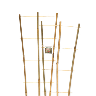 Nature Klimrek planten | Nature | 90 x 26 centimeter (2 stuks, Bamboe) 6040357 K170106184 - 2