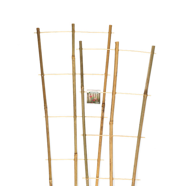 Nature Klimrek planten | Nature | 90 x 26 cm | 2 stuks (Bamboe) 6040357 K170106184 - 2
