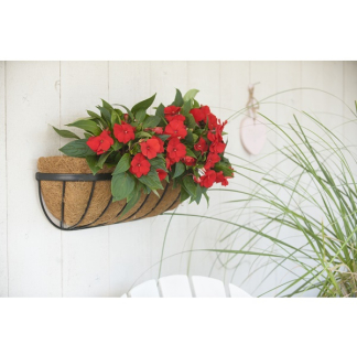 Nature Kokosinlegvel | Nature | 61 x 20 centimeter (Voorgevormd, Langwerpig, Met waterkering) 6070136 K170106202 - 3