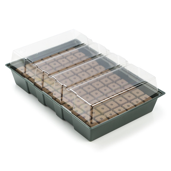 Nature Kweekbak met deksel | Nature | 35 x 23.5 cm (Incl. groeimedium, 77 vakjes) 6020216 K170130170 - 1