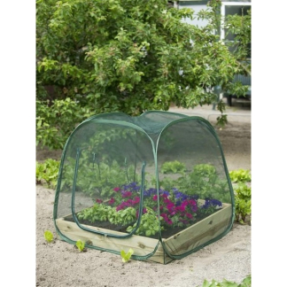 Nature Kweekkas | Nature | 100 x 100 x 100 cm (Pop-up, Anti-insectengaas) 6020409 K170130301 - 