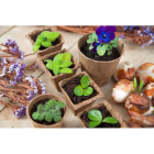 Nature Kweekpotjes | Nature | 18 stuks (Rond, Biologisch afbreekbaar, 8.5 x Ø 8 cm) 6020013 K170106148 - 4