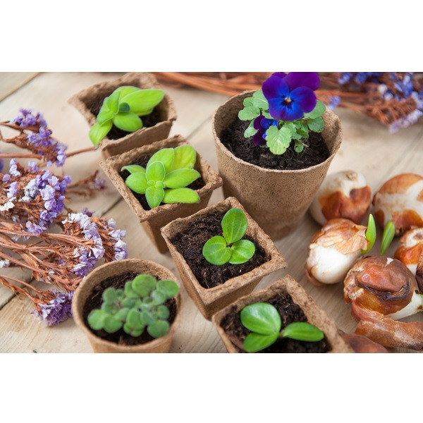 Nature Kweekpotjes | Nature | 20 stuks (Vierkant, Biologisch afbreekbaar, 6 x 6 x 6 cm) 6020010 K170106146 - 4
