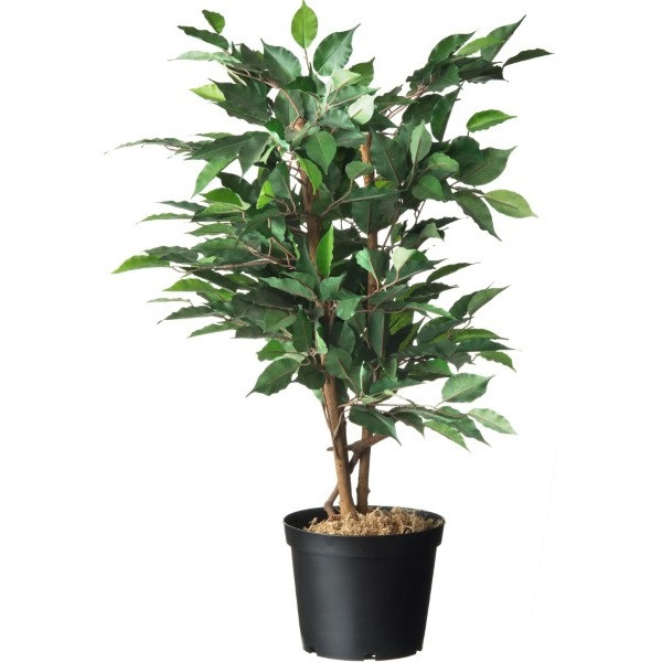 Nature Plantcontainer | Nature | Ø 13.2 cm | 1 liter | 6 stuks (Zwart) 6070201 K170103441 - 3