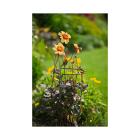 Nature Plantensteun | Nature | 100 cm (Verstelbaar, Ø30 cm) 6040362 K170130354 - 2
