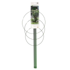 Nature Plantensteun | Nature | 60 centimeter (3 ringen, 3 stokken, Verzinkt staal) 6040340 K170106186 - 5