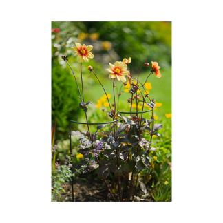 Nature Plantensteun | Nature | 60 cm (Verstelbaar, Ø15 cm) 6040360 K170130352 - 3
