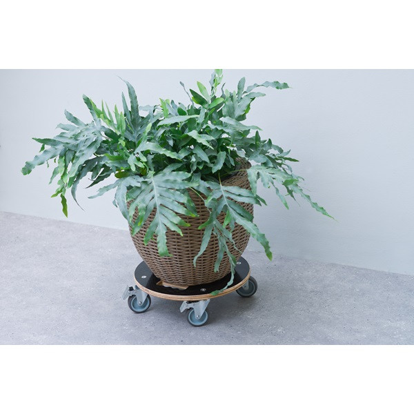 Nature Plantentrolley | Nature | Ø 38 cm (Hout, Rond, Binnen/buiten, Max. 250 kg, 4 wielen, Rem) 6070242 K170106195 - 3