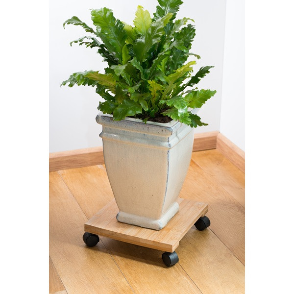 Nature Plantentrolley | Nature | 30 x 30 centimeter (Bamboe/kunststof, Vierkant, Binnen/buiten, Max. 50 kg, 2 wielen, Rem) 6070236 K170106192 - 2