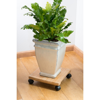 Nature Plantentrolley | Nature | 30 x 30 centimeter (Bamboe/kunststof, Vierkant, Binnen/buiten, Max. 50 kg, 2 wielen, Rem) 6070236 K170106192 - 2