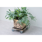 Nature Plantentrolley | Nature | 38 x 38 centimeter (Hout, Vierkant, Binnen/buiten, Max. 250 kg, 4 wielen, Rem) 6070241 K170106196 - 3
