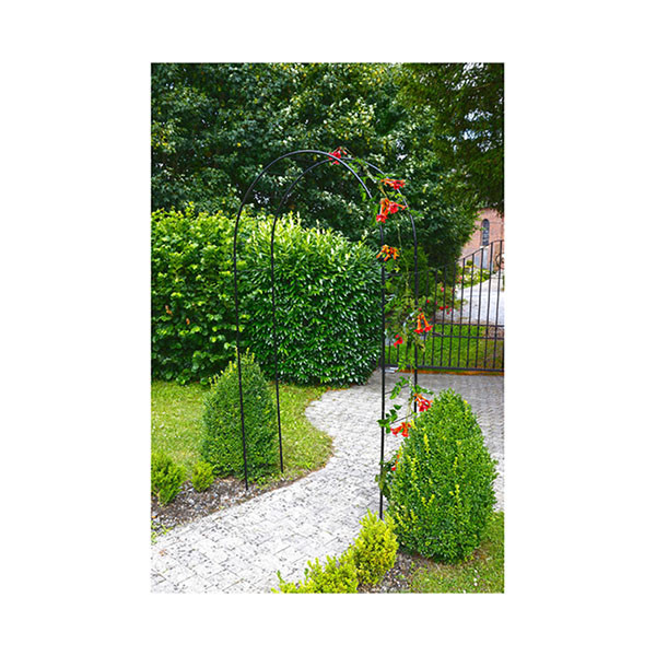 Nature Rozenboog | Nature | 140 x 37 x 240 cm (Metaal, Zwart) 6041801 K170130350 - 3